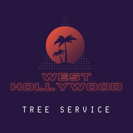 westhollywoodtreeservice